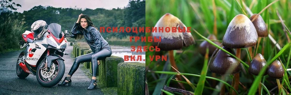 гашишное масло Болохово