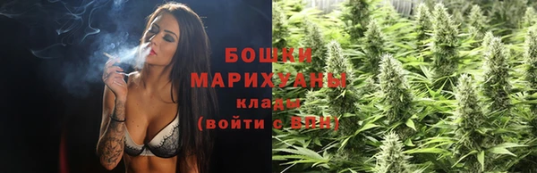 молекула духа Болотное
