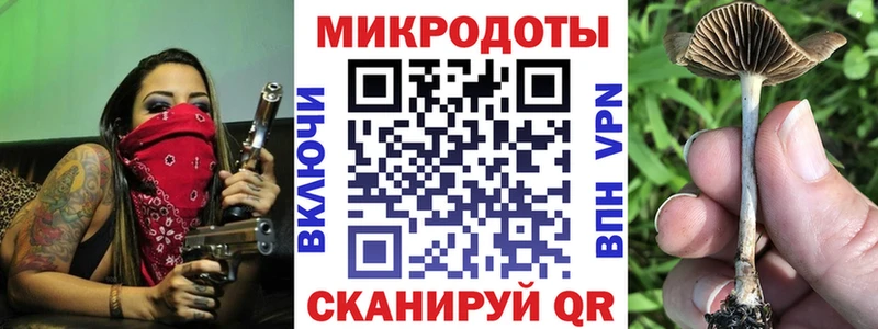 Галлюциногенные грибы мухоморы как найти закладки Вяземский